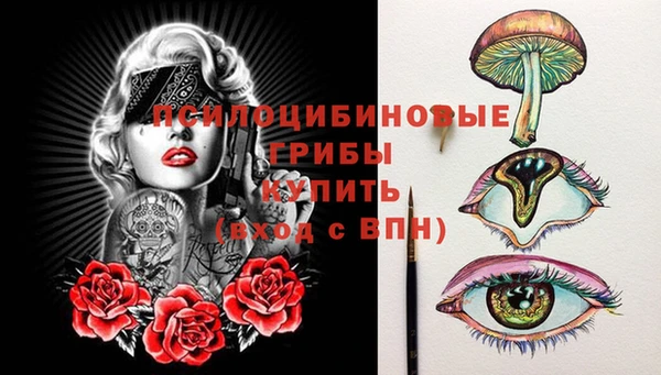 герыч Снежинск