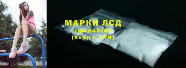 шишки Сосновка