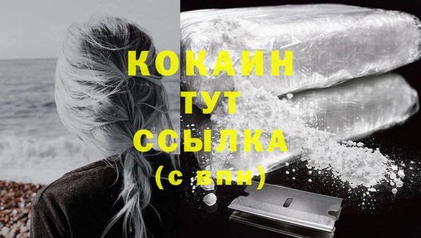 шишки Сосновка