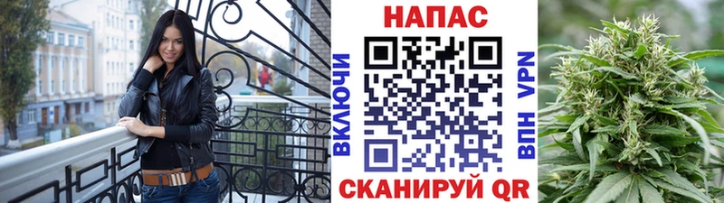 Шишки марихуана тримм  Купить закладки  Карачев 
